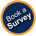 book a damp or timber survey